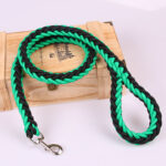 Medium And Large Pet Nylon Traction Rope - Image 6