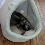 Pet Tent Cave Bed for Cats Small Dogs Self-Warming Cat Tent Bed Cat Hut Comfortable Pet Sleeping Bed Foldable Removable Washable photo review