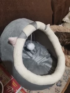 Pet Tent Cave Bed for Cats Small Dogs Self-Warming Cat Tent Bed Cat Hut Comfortable Pet Sleeping Bed Foldable Removable Washable photo review