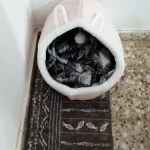 Pet Tent Cave Bed for Cats Small Dogs Self-Warming Cat Tent Bed Cat Hut Comfortable Pet Sleeping Bed Foldable Removable Washable photo review