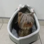 Pet Tent Cave Bed for Cats Small Dogs Self-Warming Cat Tent Bed Cat Hut Comfortable Pet Sleeping Bed Foldable Removable Washable photo review