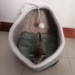 Pet Tent Cave Bed for Cats Small Dogs Self-Warming Cat Tent Bed Cat Hut Comfortable Pet Sleeping Bed Foldable Removable Washable photo review