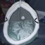 Pet Tent Cave Bed for Cats Small Dogs Self-Warming Cat Tent Bed Cat Hut Comfortable Pet Sleeping Bed Foldable Removable Washable photo review