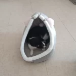 Pet Tent Cave Bed for Cats Small Dogs Self-Warming Cat Tent Bed Cat Hut Comfortable Pet Sleeping Bed Foldable Removable Washable photo review