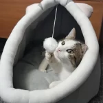 Pet Tent Cave Bed for Cats Small Dogs Self-Warming Cat Tent Bed Cat Hut Comfortable Pet Sleeping Bed Foldable Removable Washable photo review