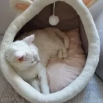 Pet Tent Cave Bed for Cats Small Dogs Self-Warming Cat Tent Bed Cat Hut Comfortable Pet Sleeping Bed Foldable Removable Washable photo review