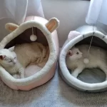 Pet Tent Cave Bed for Cats Small Dogs Self-Warming Cat Tent Bed Cat Hut Comfortable Pet Sleeping Bed Foldable Removable Washable photo review