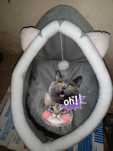 Pet Tent Cave Bed for Cats Small Dogs Self-Warming Cat Tent Bed Cat Hut Comfortable Pet Sleeping Bed Foldable Removable Washable photo review