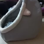 Pet Tent Cave Bed for Cats Small Dogs Self-Warming Cat Tent Bed Cat Hut Comfortable Pet Sleeping Bed Foldable Removable Washable photo review