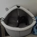 Pet Tent Cave Bed for Cats Small Dogs Self-Warming Cat Tent Bed Cat Hut Comfortable Pet Sleeping Bed Foldable Removable Washable photo review