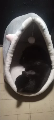 Pet Tent Cave Bed for Cats Small Dogs Self-Warming Cat Tent Bed Cat Hut Comfortable Pet Sleeping Bed Foldable Removable Washable photo review