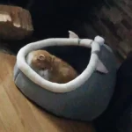 Pet Tent Cave Bed for Cats Small Dogs Self-Warming Cat Tent Bed Cat Hut Comfortable Pet Sleeping Bed Foldable Removable Washable photo review