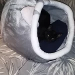 Pet Tent Cave Bed for Cats Small Dogs Self-Warming Cat Tent Bed Cat Hut Comfortable Pet Sleeping Bed Foldable Removable Washable photo review