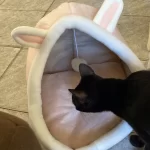 Pet Tent Cave Bed for Cats Small Dogs Self-Warming Cat Tent Bed Cat Hut Comfortable Pet Sleeping Bed Foldable Removable Washable photo review