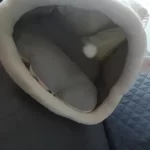 Pet Tent Cave Bed for Cats Small Dogs Self-Warming Cat Tent Bed Cat Hut Comfortable Pet Sleeping Bed Foldable Removable Washable photo review