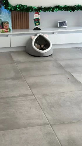 Pet Tent Cave Bed for Cats Small Dogs Self-Warming Cat Tent Bed Cat Hut Comfortable Pet Sleeping Bed Foldable Removable Washable photo review