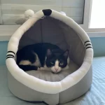 Pet Tent Cave Bed for Cats Small Dogs Self-Warming Cat Tent Bed Cat Hut Comfortable Pet Sleeping Bed Foldable Removable Washable photo review