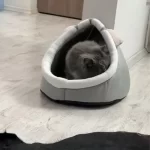 Pet Tent Cave Bed for Cats Small Dogs Self-Warming Cat Tent Bed Cat Hut Comfortable Pet Sleeping Bed Foldable Removable Washable photo review