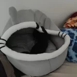 Pet Tent Cave Bed for Cats Small Dogs Self-Warming Cat Tent Bed Cat Hut Comfortable Pet Sleeping Bed Foldable Removable Washable photo review