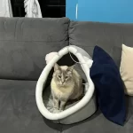 Pet Tent Cave Bed for Cats Small Dogs Self-Warming Cat Tent Bed Cat Hut Comfortable Pet Sleeping Bed Foldable Removable Washable photo review