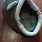 Cat Toys | Mouse Shape toys | Foldable Cat Toys । Cat & Dog Toys | ATOZBY photo review