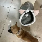 Pet Tent Cave Bed for Cats Small Dogs Self-Warming Cat Tent Bed Cat Hut Comfortable Pet Sleeping Bed Foldable Removable Washable photo review