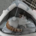 Pet Tent Cave Bed for Cats Small Dogs Self-Warming Cat Tent Bed Cat Hut Comfortable Pet Sleeping Bed Foldable Removable Washable photo review