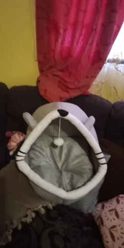 Pet Tent Cave Bed for Cats Small Dogs Self-Warming Cat Tent Bed Cat Hut Comfortable Pet Sleeping Bed Foldable Removable Washable photo review