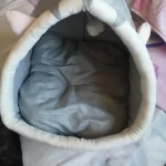 Pet Tent Cave Bed for Cats Small Dogs Self-Warming Cat Tent Bed Cat Hut Comfortable Pet Sleeping Bed Foldable Removable Washable photo review