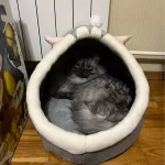 Cat balm | Cat toys | Pet Interactive Products | ATOZBY photo review