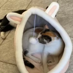Pet Tent Cave Bed for Cats Small Dogs Self-Warming Cat Tent Bed Cat Hut Comfortable Pet Sleeping Bed Foldable Removable Washable photo review