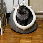 Pet Tent Cave Bed for Cats Small Dogs Self-Warming Cat Tent Bed Cat Hut Comfortable Pet Sleeping Bed Foldable Removable Washable photo review