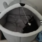 Pet Tent Cave Bed for Cats Small Dogs Self-Warming Cat Tent Bed Cat Hut Comfortable Pet Sleeping Bed Foldable Removable Washable photo review