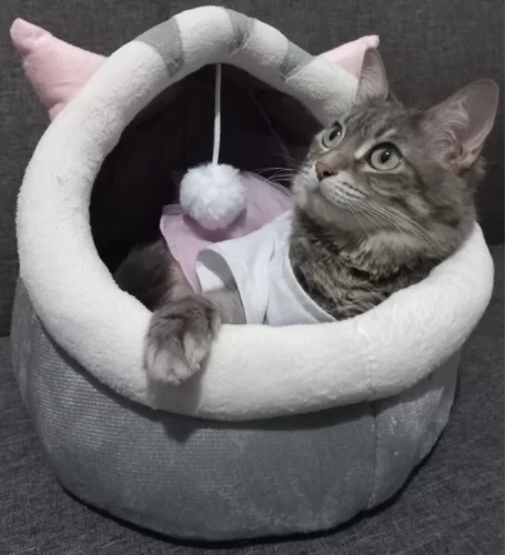 Pet Tent Cave Bed for Cats Small Dogs Self-Warming Cat Tent Bed Cat Hut Comfortable Pet Sleeping Bed Foldable Removable Washable photo review