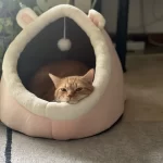 Pet Tent Cave Bed for Cats Small Dogs Self-Warming Cat Tent Bed Cat Hut Comfortable Pet Sleeping Bed Foldable Removable Washable photo review
