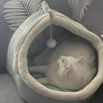 Pet Tent Cave Bed for Cats Small Dogs Self-Warming Cat Tent Bed Cat Hut Comfortable Pet Sleeping Bed Foldable Removable Washable photo review