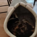 Pet Tent Cave Bed for Cats Small Dogs Self-Warming Cat Tent Bed Cat Hut Comfortable Pet Sleeping Bed Foldable Removable Washable photo review