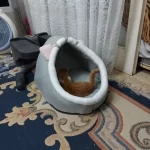 Pet Tent Cave Bed for Cats Small Dogs Self-Warming Cat Tent Bed Cat Hut Comfortable Pet Sleeping Bed Foldable Removable Washable photo review