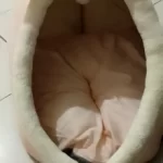 Pet Tent Cave Bed for Cats Small Dogs Self-Warming Cat Tent Bed Cat Hut Comfortable Pet Sleeping Bed Foldable Removable Washable photo review