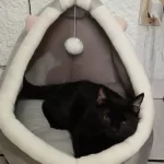 Pet Tent Cave Bed for Cats Small Dogs Self-Warming Cat Tent Bed Cat Hut Comfortable Pet Sleeping Bed Foldable Removable Washable photo review