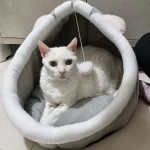 Pet Tent Cave Bed for Cats Small Dogs Self-Warming Cat Tent Bed Cat Hut Comfortable Pet Sleeping Bed Foldable Removable Washable photo review