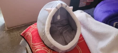 Pet Tent Cave Bed for Cats Small Dogs Self-Warming Cat Tent Bed Cat Hut Comfortable Pet Sleeping Bed Foldable Removable Washable photo review