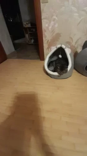 Pet Tent Cave Bed for Cats Small Dogs Self-Warming Cat Tent Bed Cat Hut Comfortable Pet Sleeping Bed Foldable Removable Washable photo review