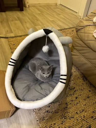 Pet Tent Cave Bed for Cats Small Dogs Self-Warming Cat Tent Bed Cat Hut Comfortable Pet Sleeping Bed Foldable Removable Washable photo review