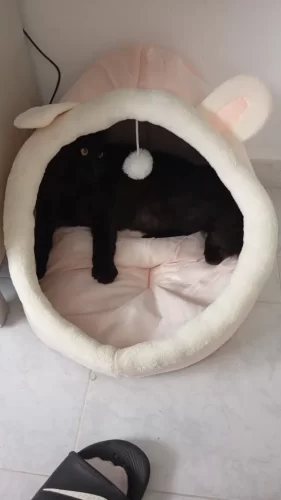 Pet Tent Cave Bed for Cats Small Dogs Self-Warming Cat Tent Bed Cat Hut Comfortable Pet Sleeping Bed Foldable Removable Washable photo review