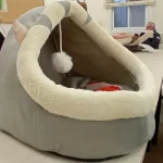 Pet Tent Cave Bed for Cats Small Dogs Self-Warming Cat Tent Bed Cat Hut Comfortable Pet Sleeping Bed Foldable Removable Washable photo review