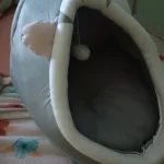 Cat Toys | Cute Octopus Plush । Cat & Dog Toys | ATOZBY photo review
