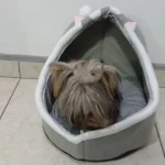 Pet Tent Cave Bed for Cats Small Dogs Self-Warming Cat Tent Bed Cat Hut Comfortable Pet Sleeping Bed Foldable Removable Washable photo review