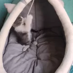Pet Tent Cave Bed for Cats Small Dogs Self-Warming Cat Tent Bed Cat Hut Comfortable Pet Sleeping Bed Foldable Removable Washable photo review