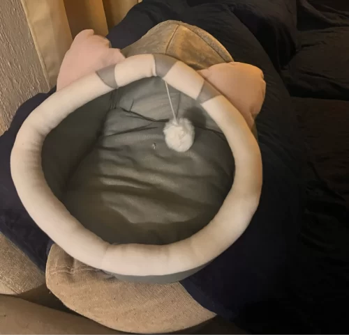 Pet Tent Cave Bed for Cats Small Dogs Self-Warming Cat Tent Bed Cat Hut Comfortable Pet Sleeping Bed Foldable Removable Washable photo review